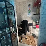 バネラ ドムス ローマ