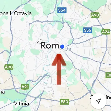 Vanella Domus Roma