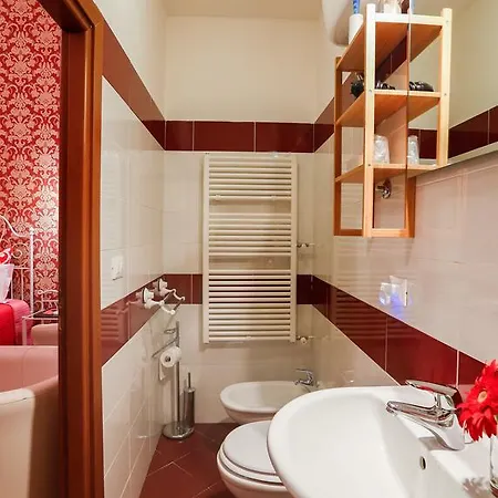 Vanella Domus Roma